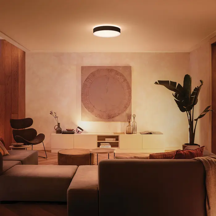 ENRAVE PHILIPS HUE LED stropna svjetiljka XL crna