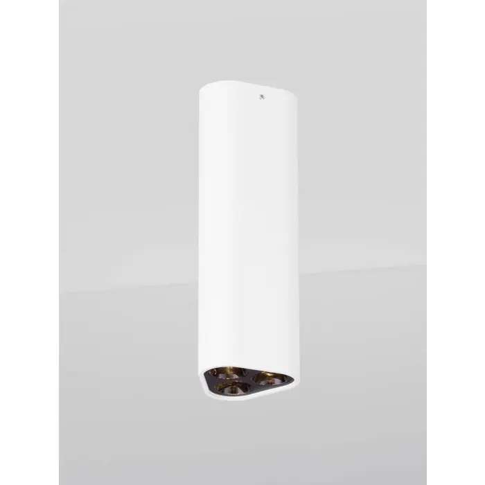 ETHO STROPNA SVJETILJKA LED /3000K/6W/454Lm/BIJELO-CRNA