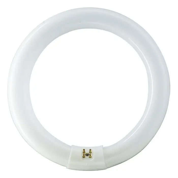 fluo-cijev-okrugla-g10q22w840-philips-10738-01040100.webp