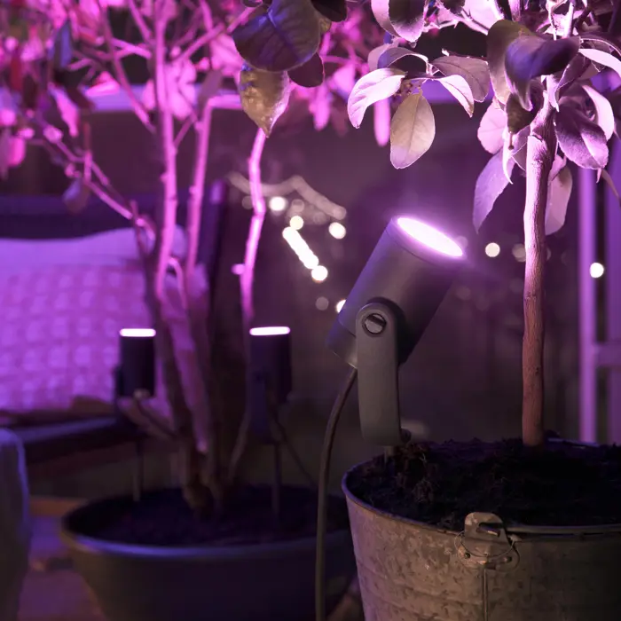 LILY PHILIPS HUE vrtna LED svjetiljka na kolcu BASE UNIT SPIKE crna 3X8W 24V