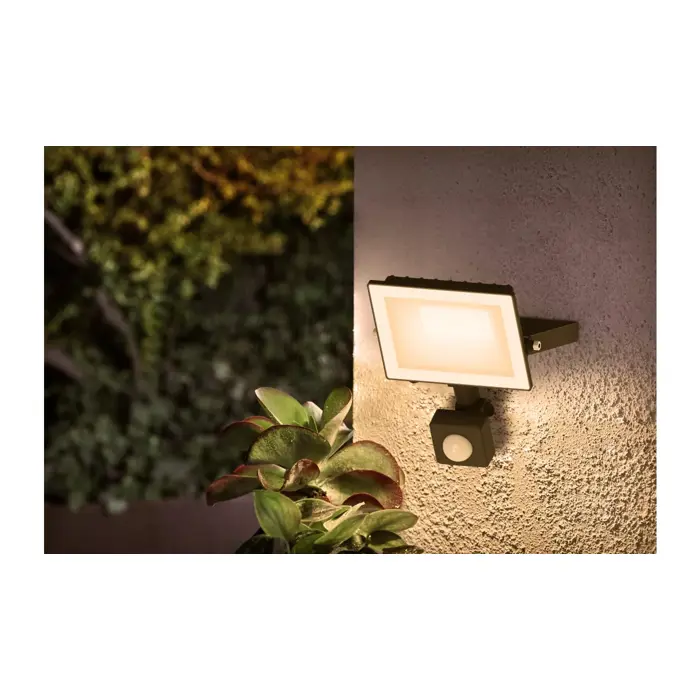 LOIS FLOOD PHILIPS vanjska LED svjetiljka crna 20W 30K IR