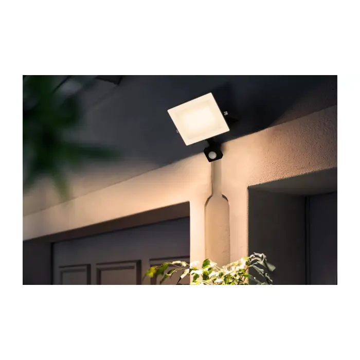 LOIS FLOOD PHILIPS vanjska LED svjetiljka crna 30W 30K IR