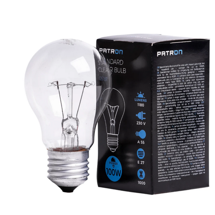 OBIČNA ŽARULJA E27 100W A55 230V CL