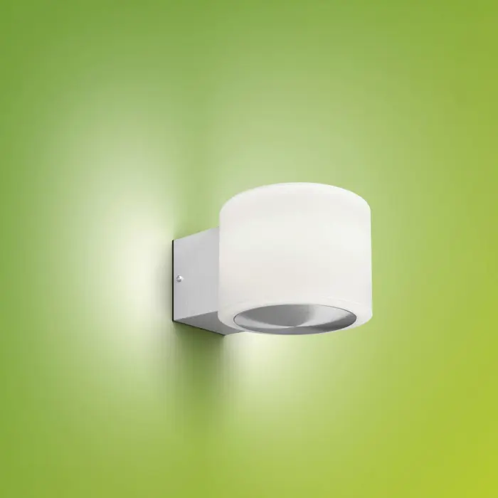 OTIS PHILIPS vanjska LED svjetiljka White Ambiance 4.3W 27K SS