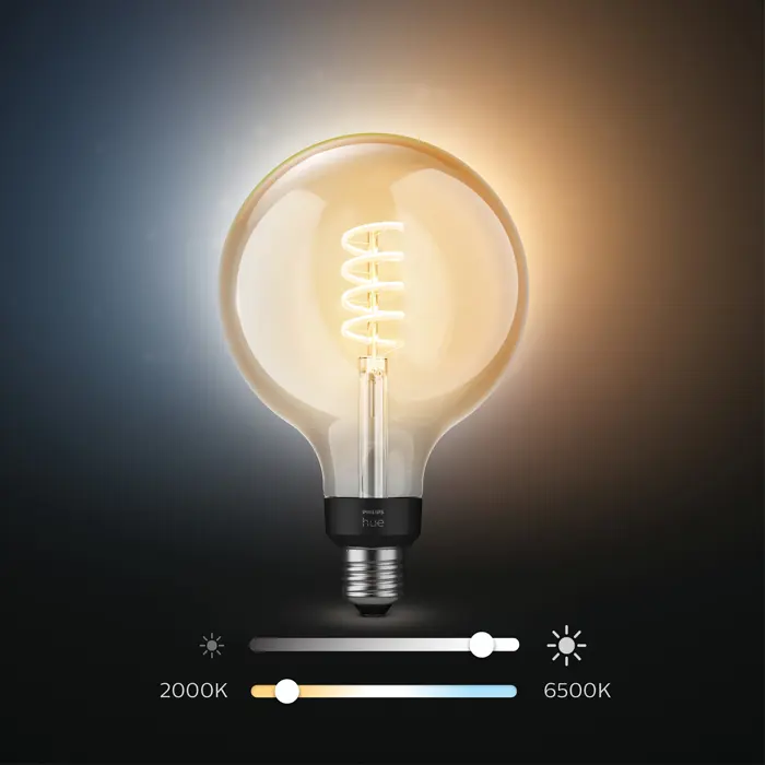 FIL PHILIPS HUE LED žarulja White Ambiance 7W G125 EUR E27