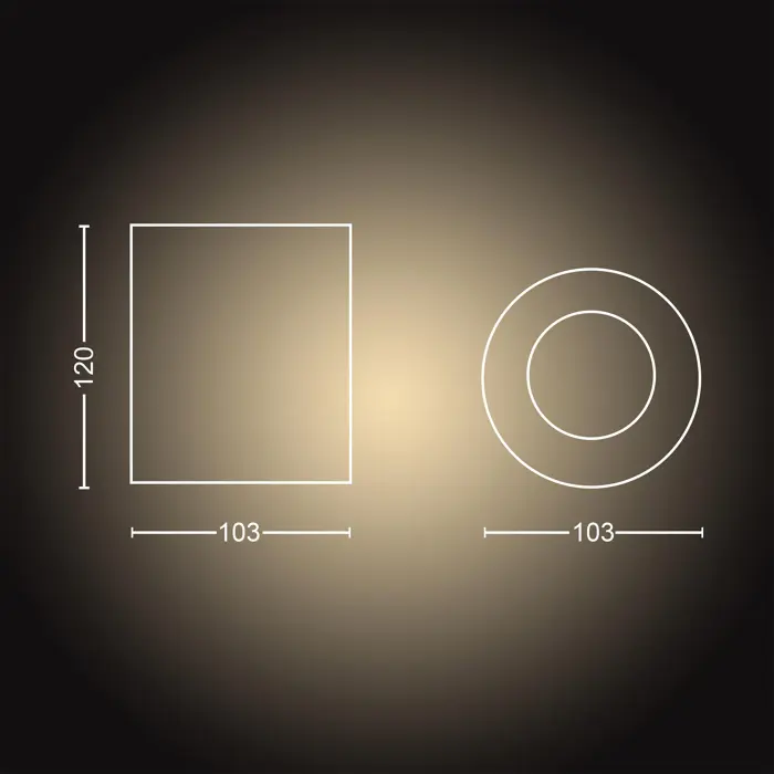 PILLAR EXT.SINGLE PHILIPS HUE LED reflektor SPOT crni 1XGU10