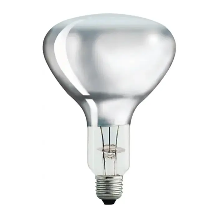 PHILIPS REFLEKTOR ŽARULJA E27 300W R125 CLEAR