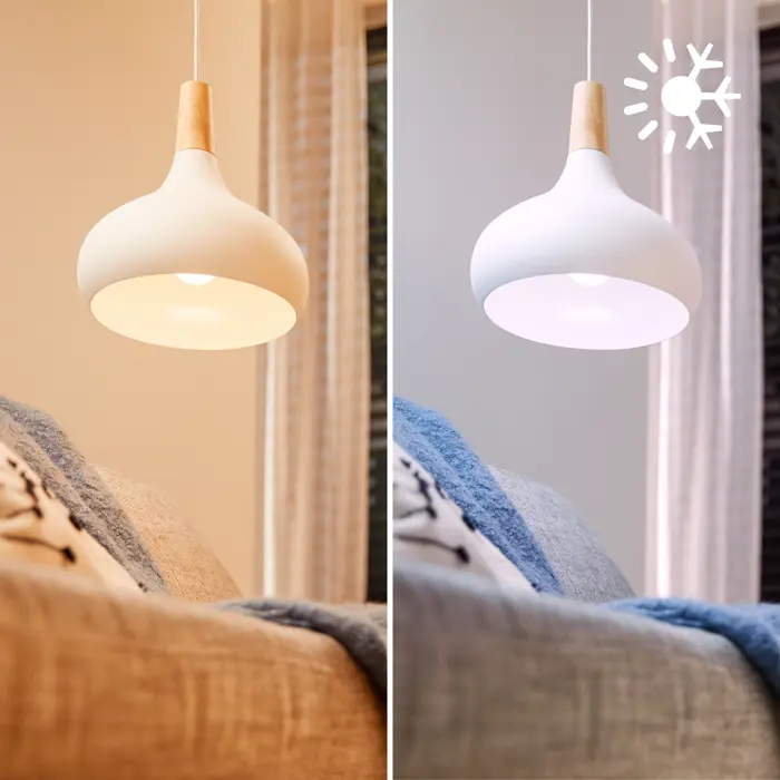 PHILIPS SMART LED žarulja 60W A60 E27