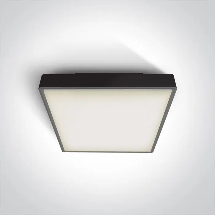 plafonjera-led-2xe2718wplc230v-ip65-crna-45594-02061325.webp