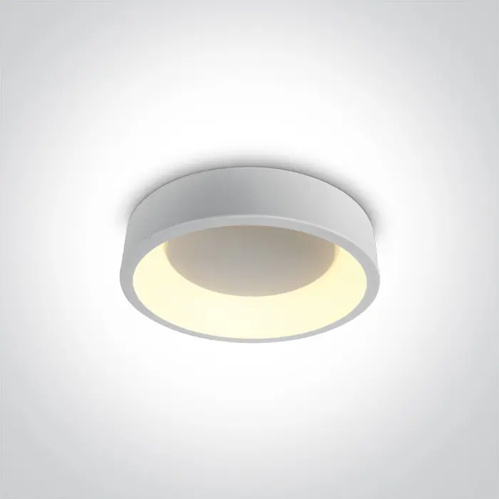 plafonjera-led20wcct1700lm230v-fi300mm-bijela-44363-02013187.webp