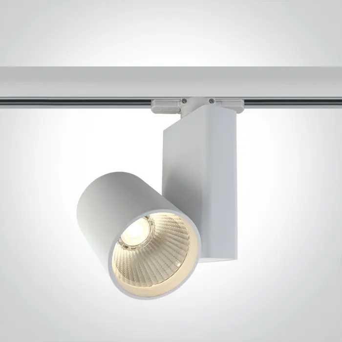 reflektor-za-sinu-led15w3000k1200lm38230v-bijeli-16554-02092436.webp