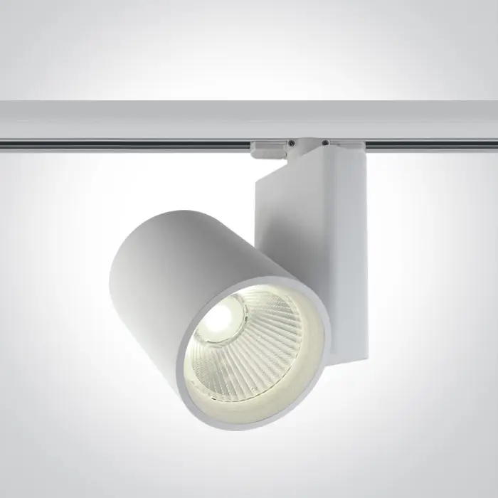 reflektor-za-sinu-led42w4000k3500lm38230v-bijeli-1234-02092521.webp