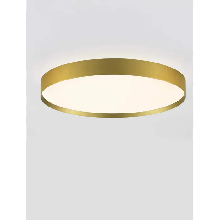 ROI PLAFONJERA/ZIDNA LAMPA LED /2700-3000K/48W/3724Lm/BRUSHED GOLD