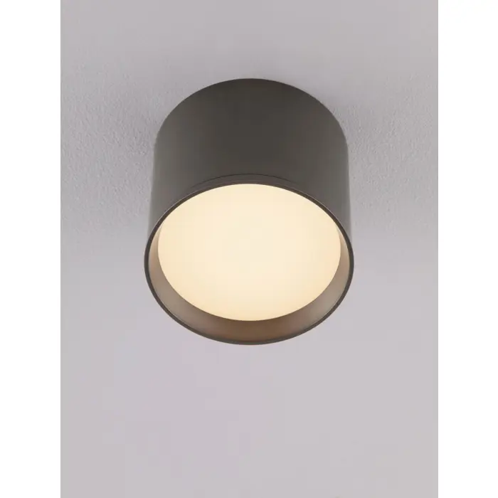 ZIAZA STROPNI REFLEKTOR SREBRNI LED 10W 505lm 3000K IP20